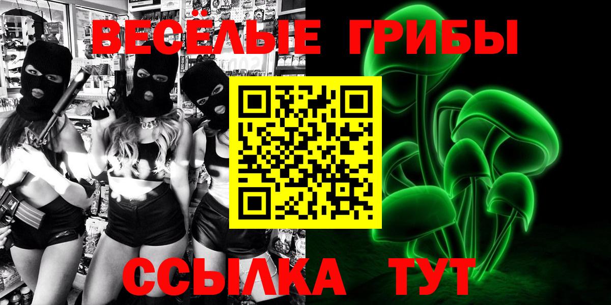 Галлюциногенные грибы Psilocybe Якутск