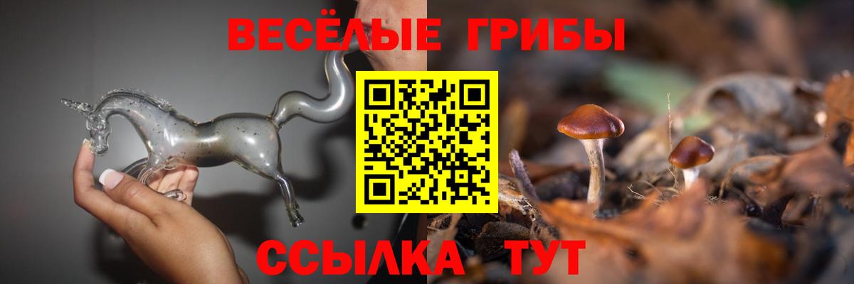 Якутск  Псилоцибиновые грибы ЛСД  Псилоцибиновые грибы GOLDEN TEACHER  Вход с VPN 